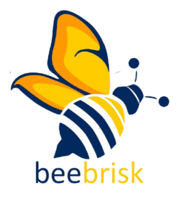 Picture of Author : BeeBrisk